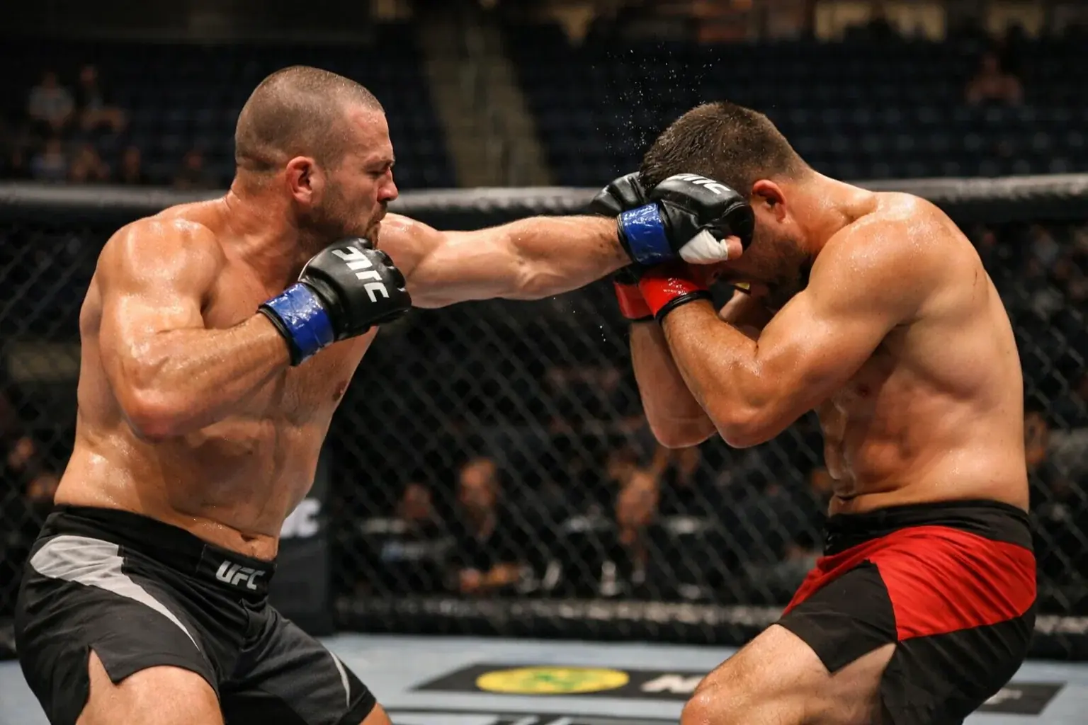 Preliminary fight action in the UFC octagon